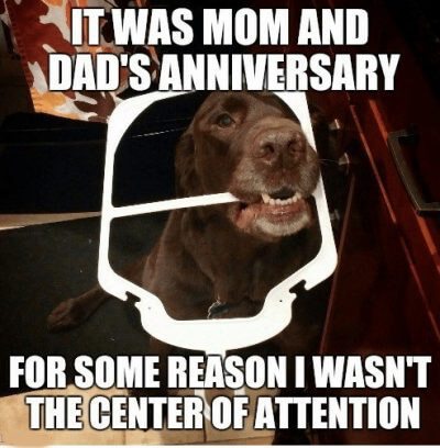 Funny Anniversary Memes For Everyone