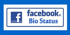 Bio Status for Girls for Facebook