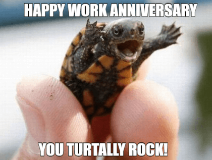Happy Work Anniversary Meme To Make Them Laugh Madly Here are the most trending happy anniversary images funny that you can send to the loved ones to start their day with smiles on their faces. happy work anniversary meme to make