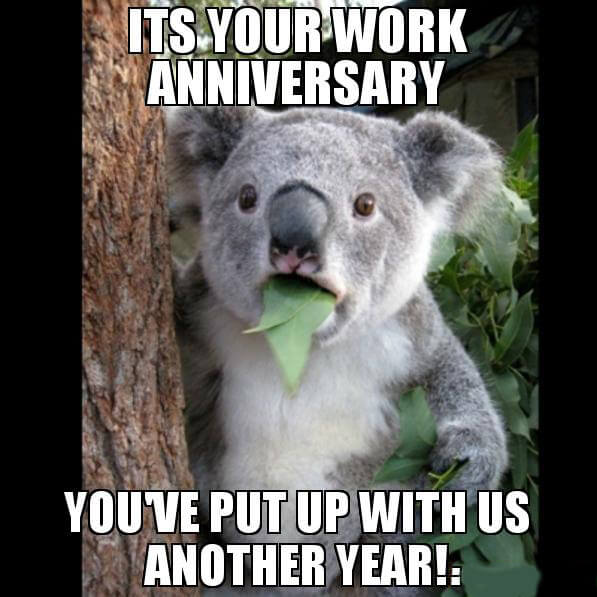 Happy Work Anniversary Meme To Make Them Laugh Madly 50 funny anniversary memes gif s and images the random vibez. happy work anniversary meme to make