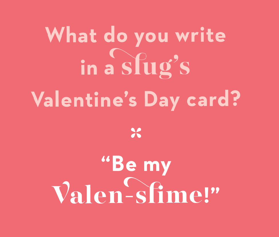 Valentines Day Jokes and Comics - To Make Everybody Laugh Madly