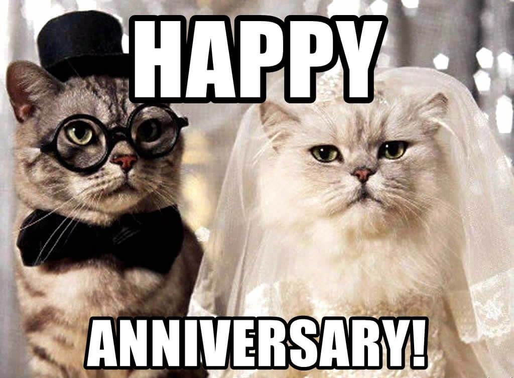 Happy Anniversary Meme For Couple Funny Free