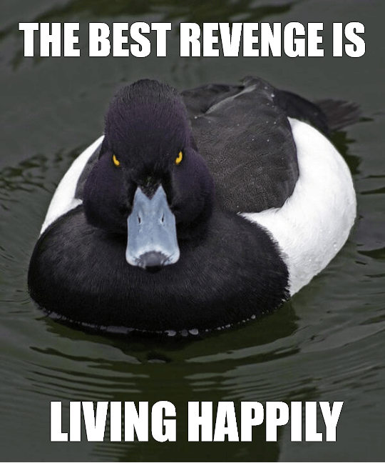 Revenge Duck