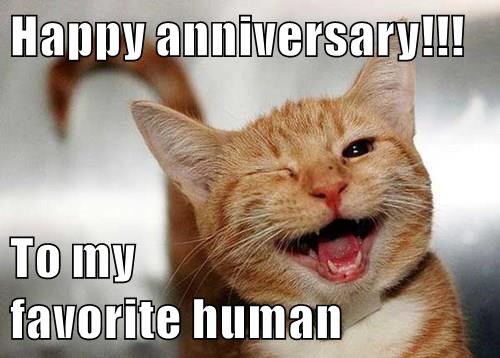 Happy Anniversary Funny Meme