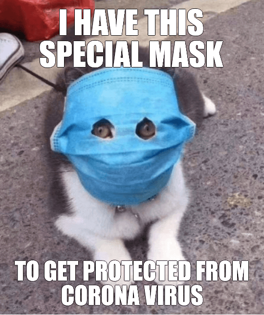 Coronavirus Special Mask