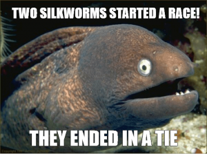 Bad Joke Eel Meme