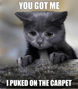 Confession Cat Meme