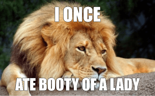 Confession Lion Meme