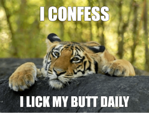 Confession Tiger Meme
