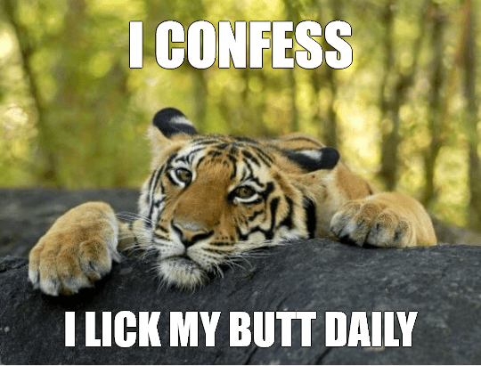 Tiger Meme
