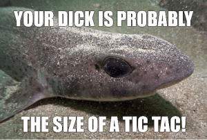 Dirty Joke Dogfish Meme