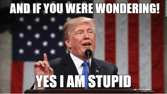 Donald Trump Meme