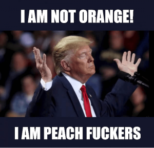 Trump Impeached Meme